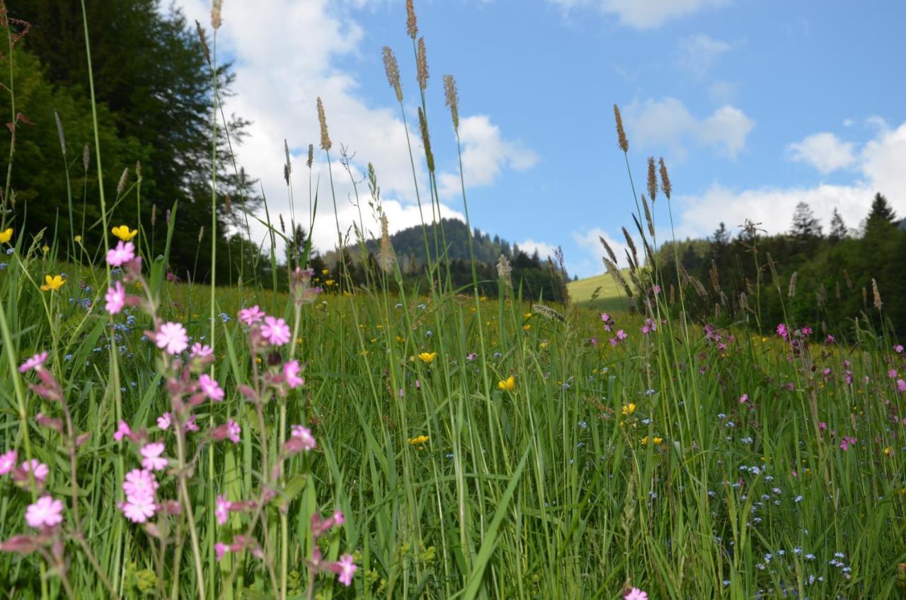 Heustubn Ferienwohnungen Unken Bagian luar foto